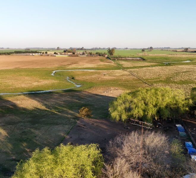 areco 2