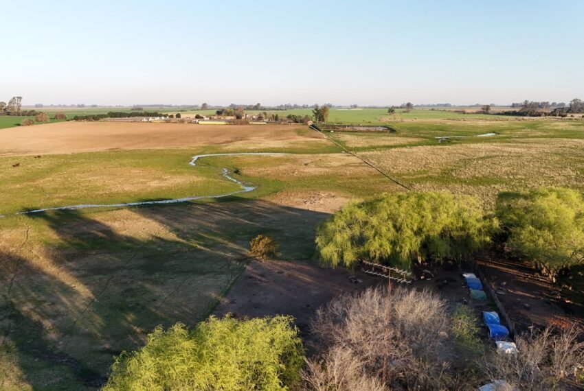 areco 2