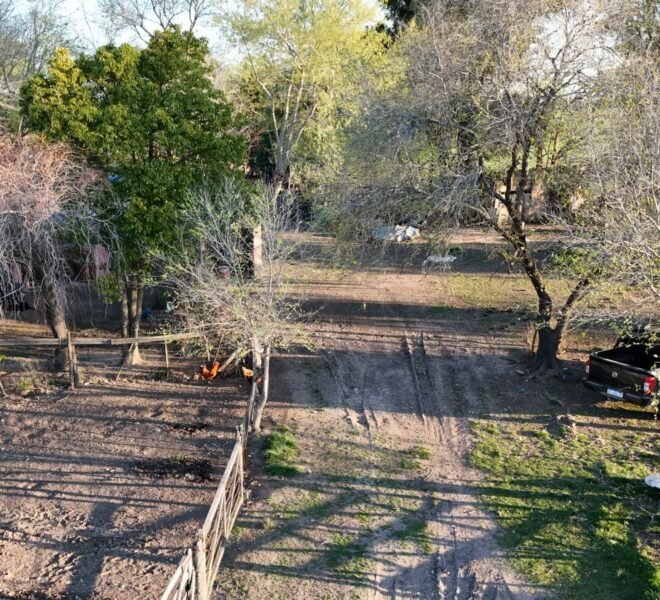areco 3