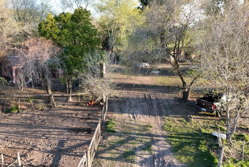 areco 3