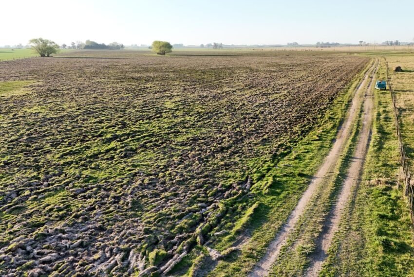 areco 4