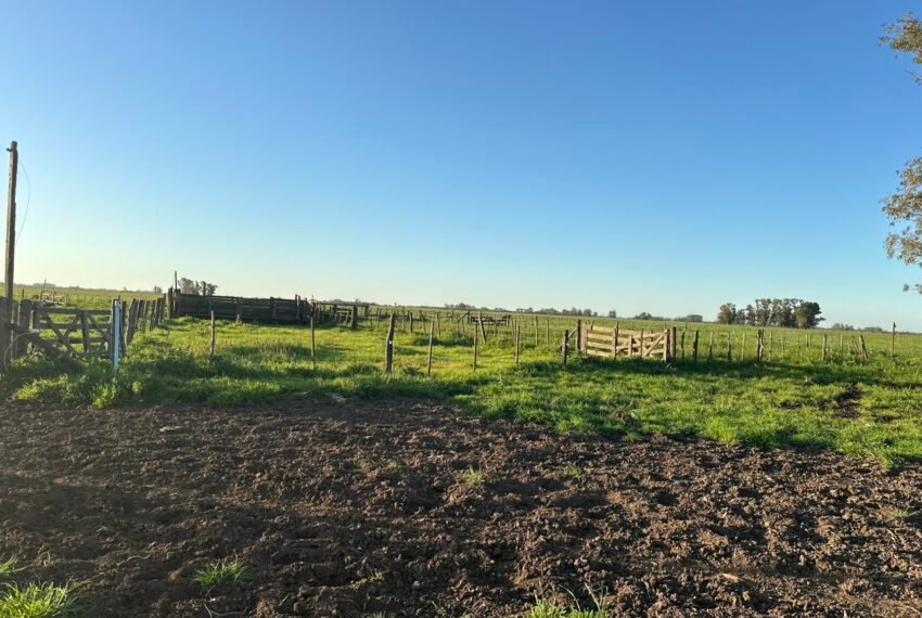 DJI_20251002_181654_769