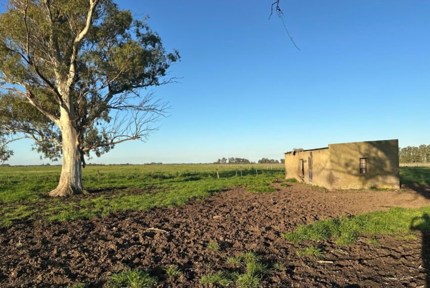 DJI_20251002_181706_017