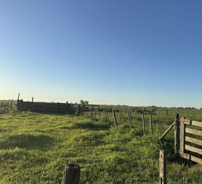 DJI_20251002_181735_191