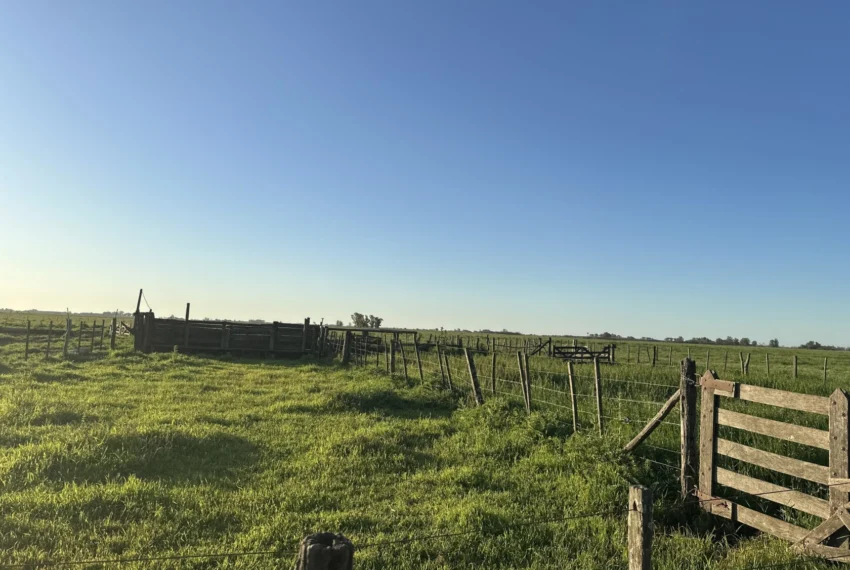 DJI_20251002_181735_191