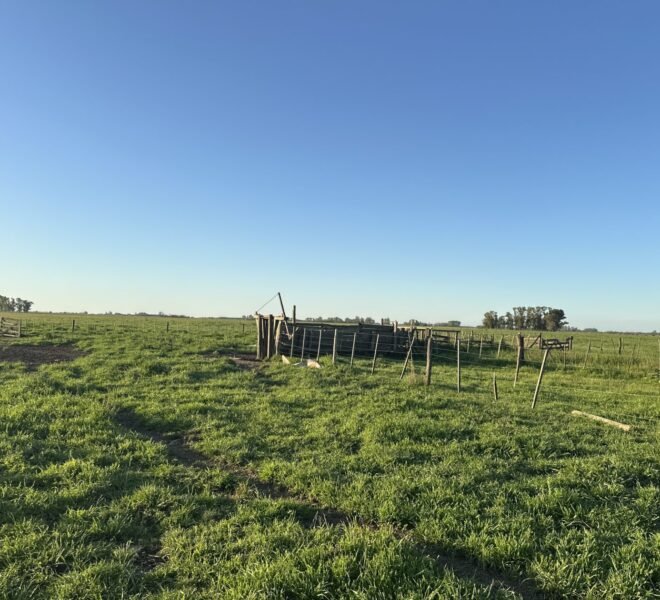 DJI_20251002_181809_196