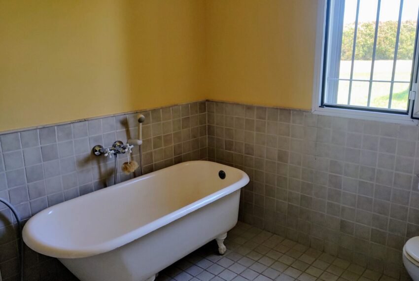 IMG_20241020_122400010_HDR