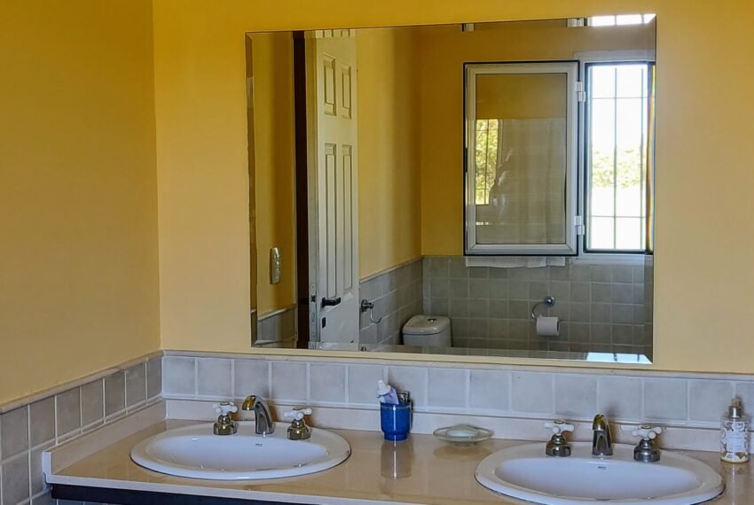 IMG_20241020_122441223_HDR