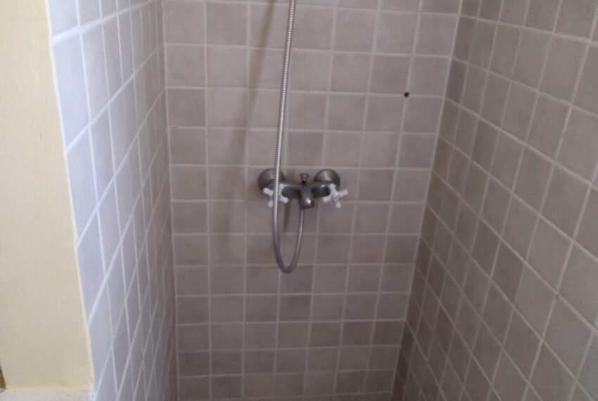 IMG_20241020_123219273