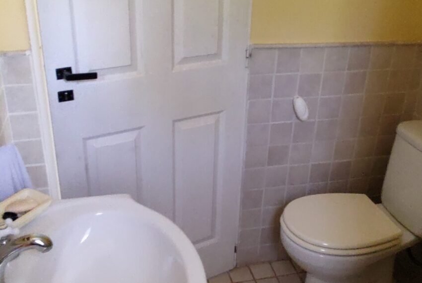 IMG_20241020_123238977