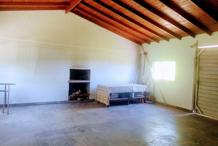 IMG_20241020_123545702