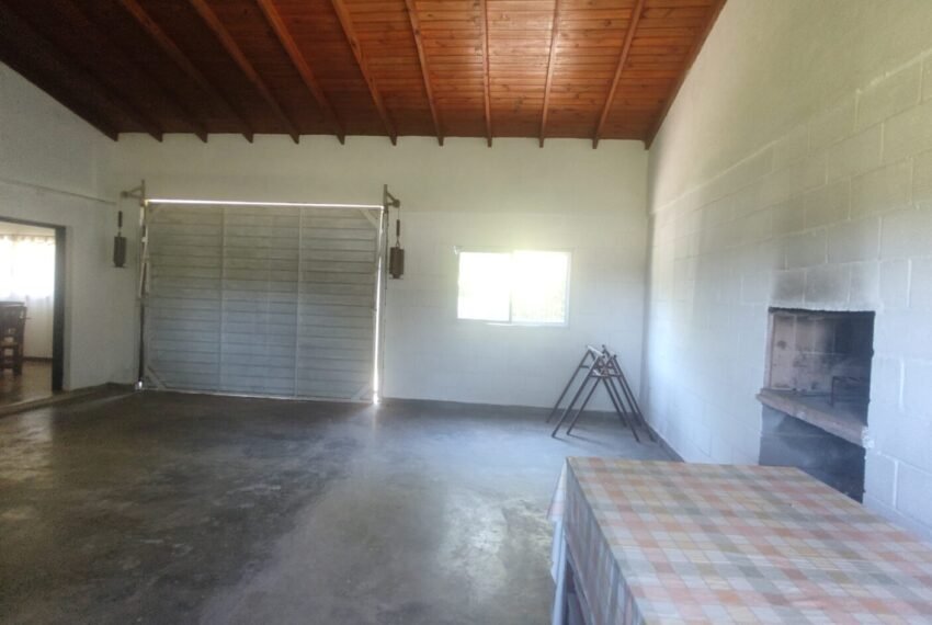 IMG_20241020_123614356