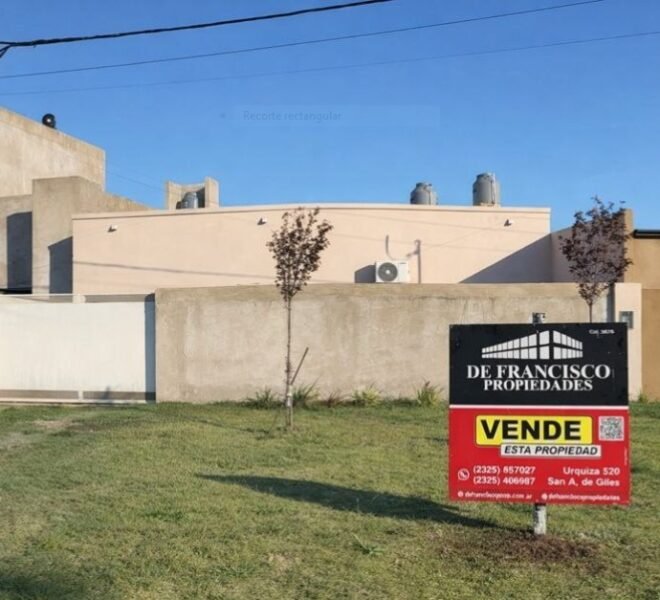 WhatsApp Image 2026-02-06 at 17.29.39