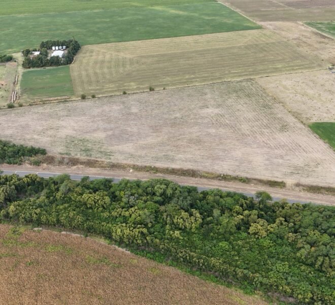 WhatsApp Image 2026-03-09 at 19.27.47