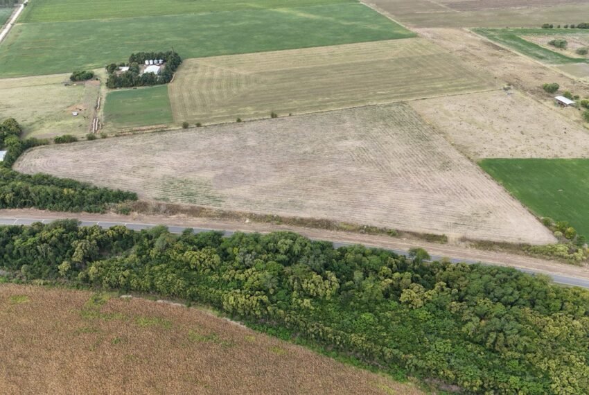 WhatsApp Image 2026-03-09 at 19.27.47