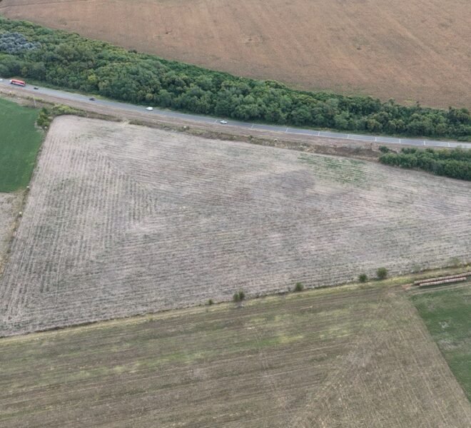 WhatsApp Image 2026-03-09 at 19.28.47