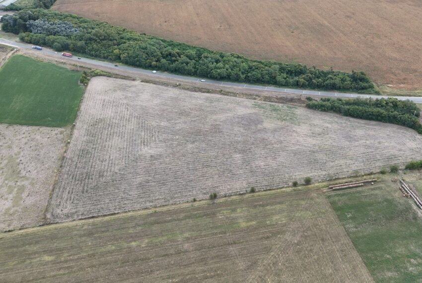 WhatsApp Image 2026-03-09 at 19.28.47