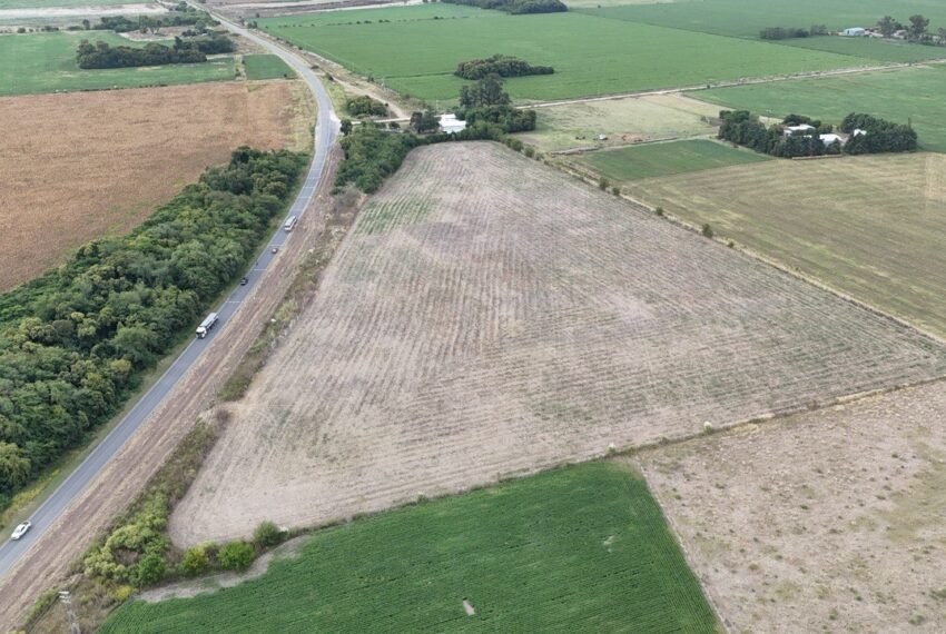 WhatsApp Image 2026-03-09 at 19.29.06 (1)