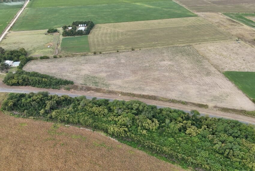 WhatsApp Image 2026-03-09 at 19.30.26 (1)