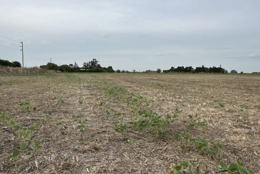 WhatsApp Image 2026-03-09 at 19.30.52