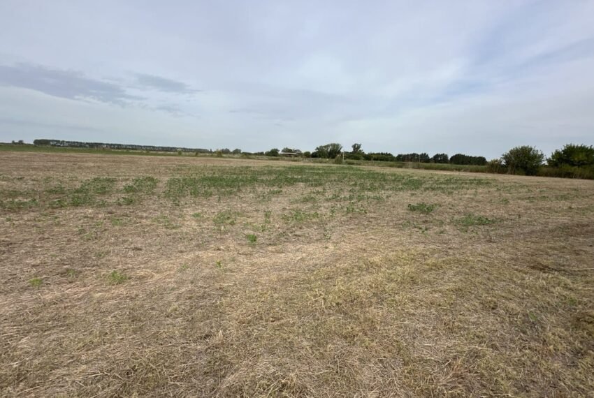 WhatsApp Image 2026-03-09 at 19.31.16