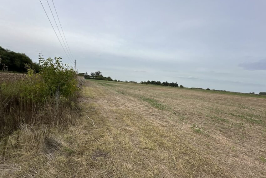 WhatsApp Image 2026-03-09 at 19.31.34