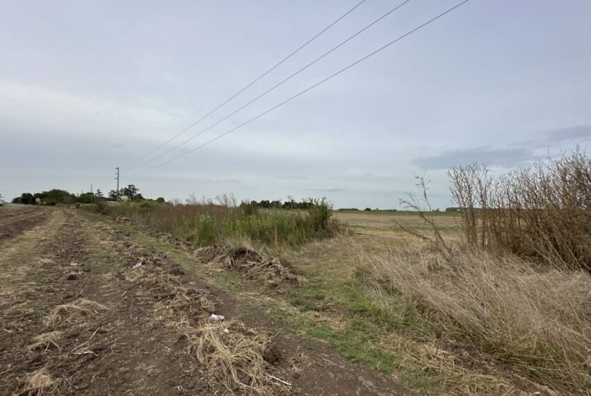 WhatsApp Image 2026-03-09 at 19.31.59