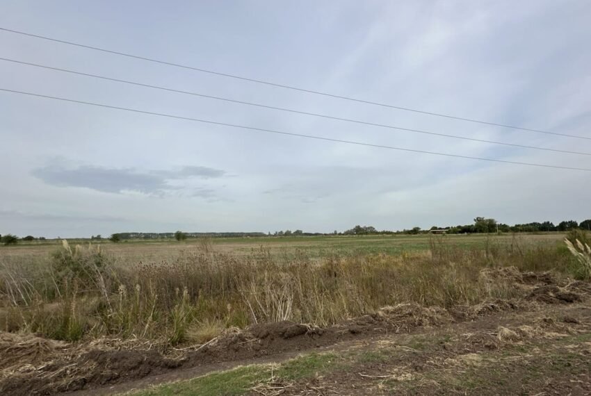 WhatsApp Image 2026-03-09 at 19.32.09