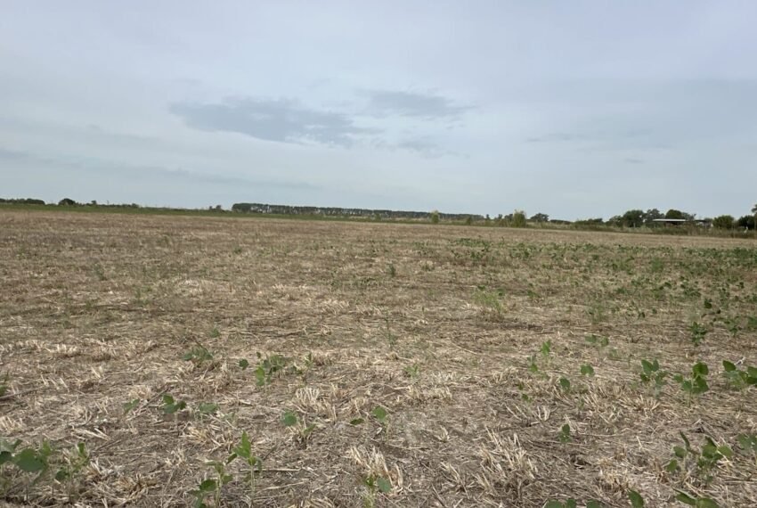 WhatsApp Image 2026-03-09 at 19.32.22