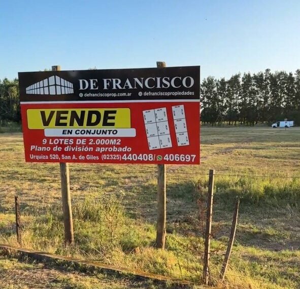 WhatsApp Image 2026-03-19 at 19.22.31