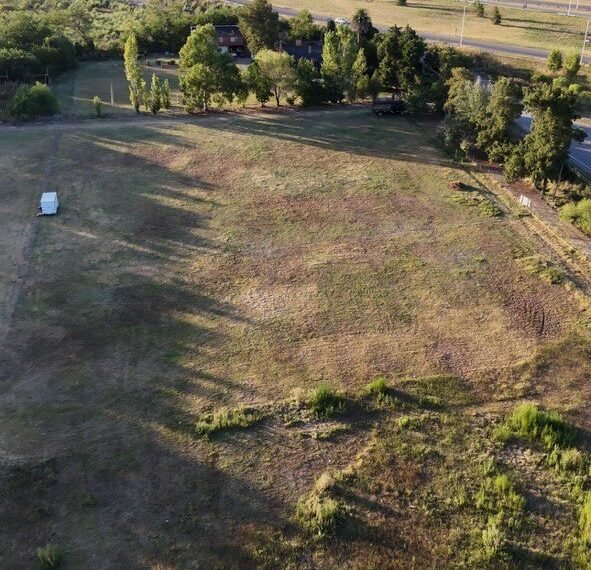 WhatsApp Image 2026-03-19 at 19.22.42