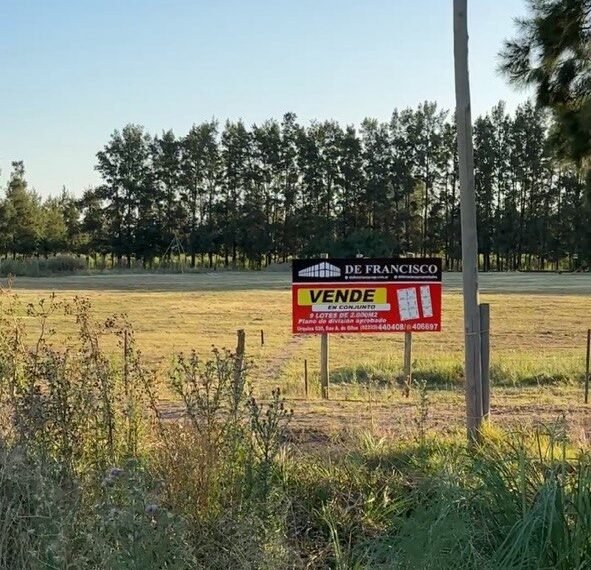 WhatsApp Image 2026-03-19 at 19.22.56